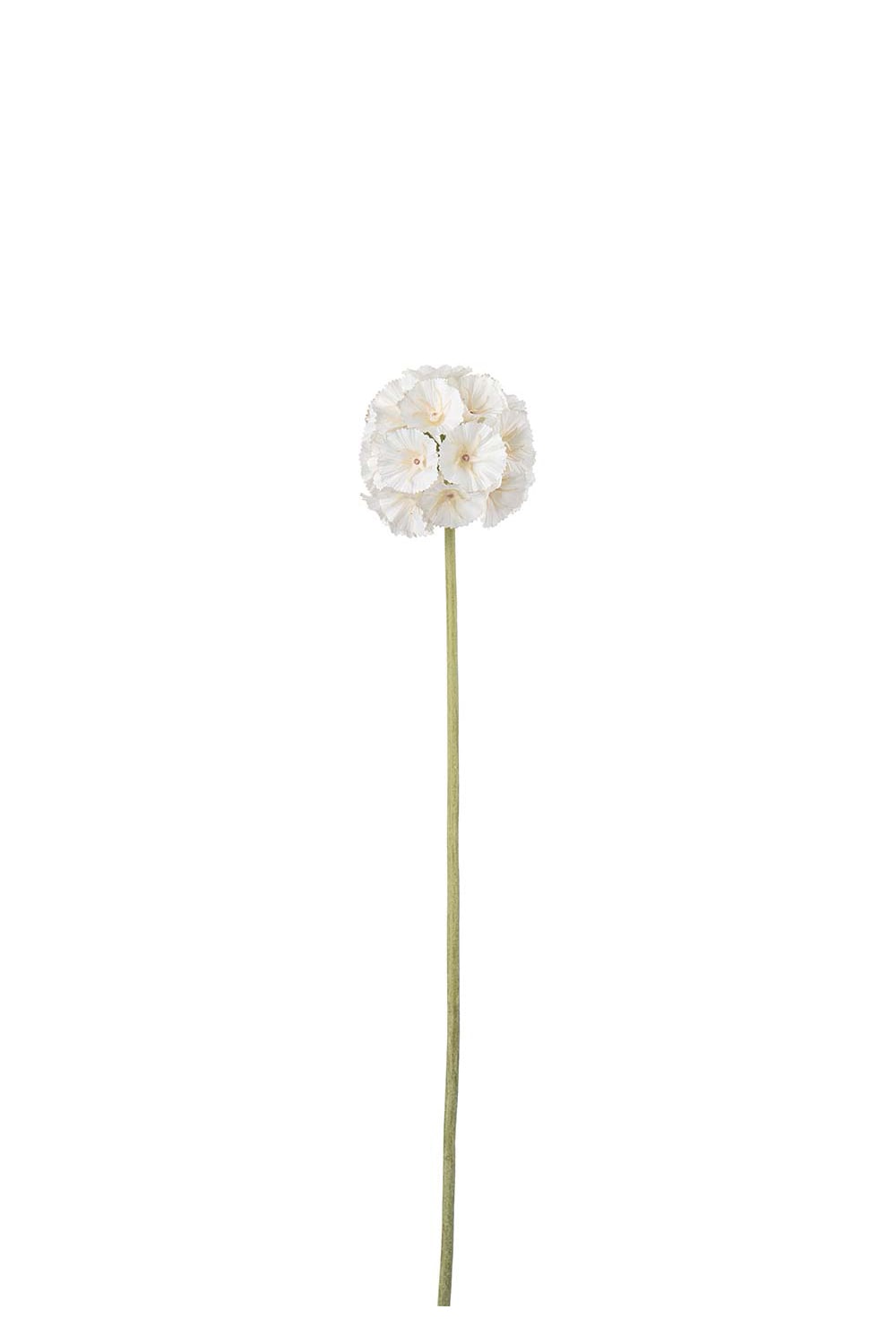 Konstgjord cremefärgad Scabiosa 60cm