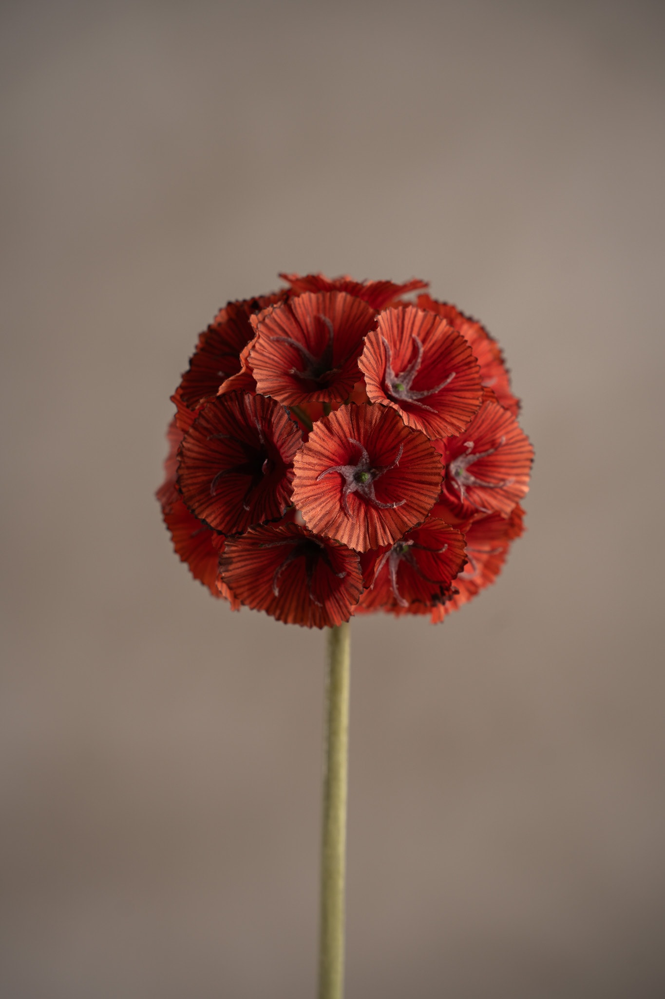 Konstgjord orange Scabiosa 60cm