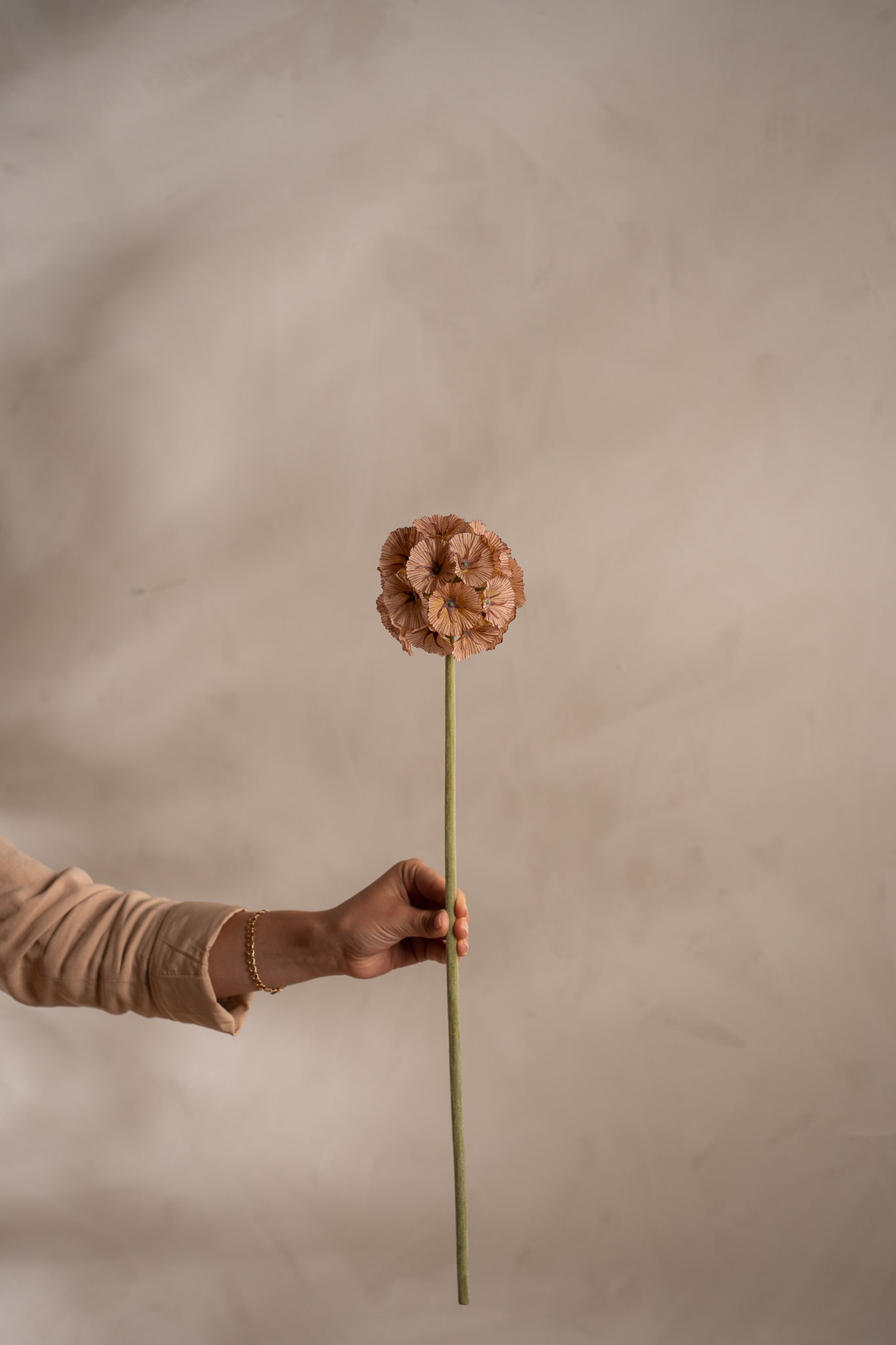 Konstgjord brun Scabiosa 60cm