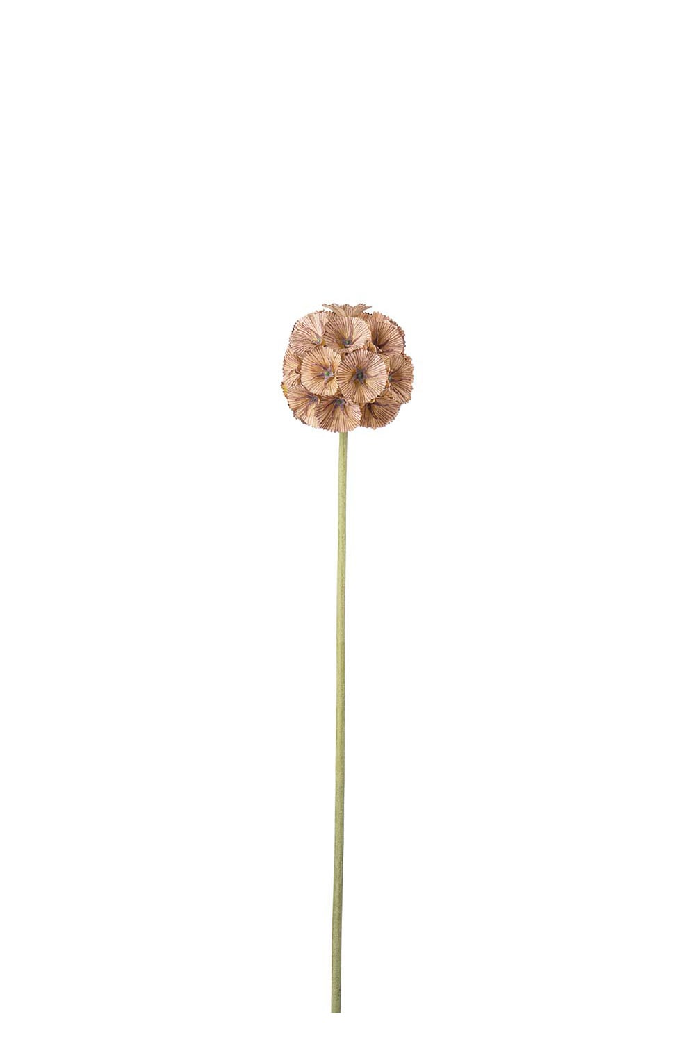 Konstgjord brun Scabiosa 60cm