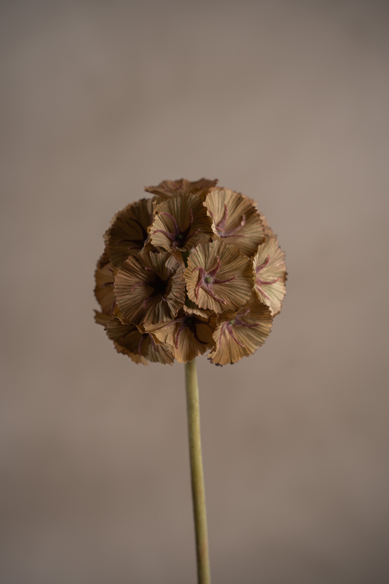 Konstgjord grön Scabiosa 60cm