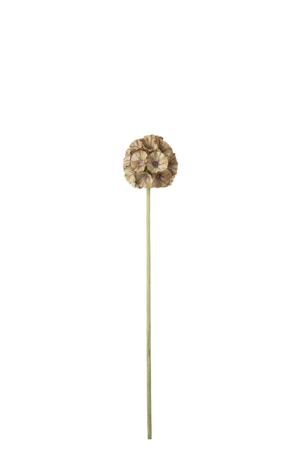 Konstgjord grön Scabiosa 60cm