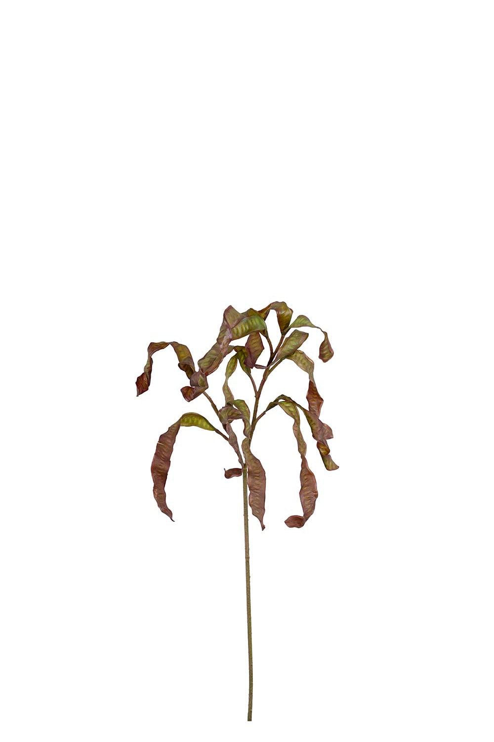 Konstgjord brun Kvist 75cm