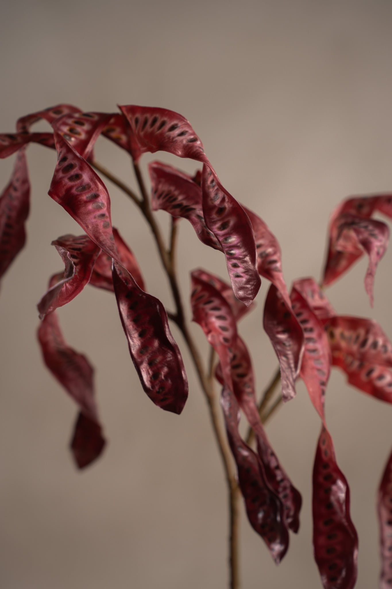 Konstgjord burgundy Kvist 75cm