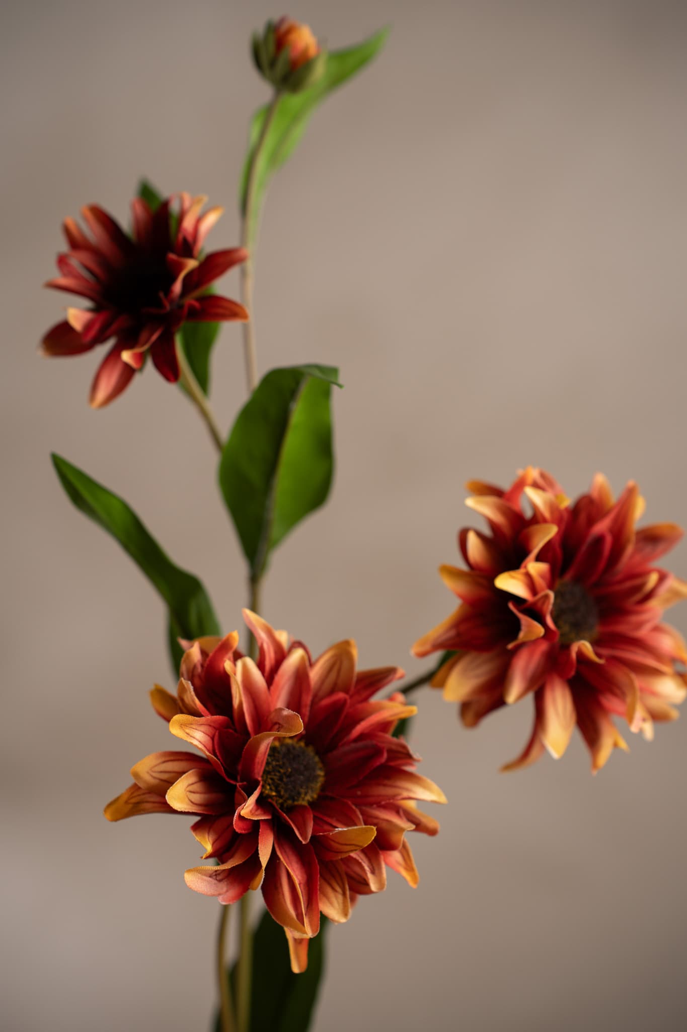 Konstgjord flerfärgad Rudbeckia 80cm