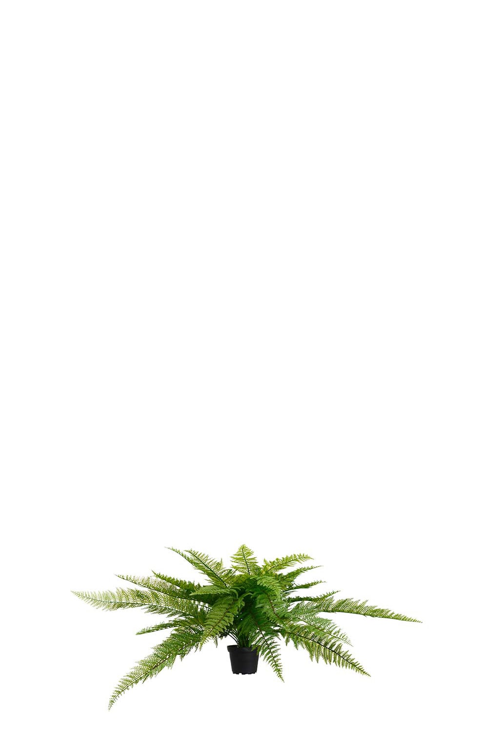 Konstgjord grön Ormbunke 35cm