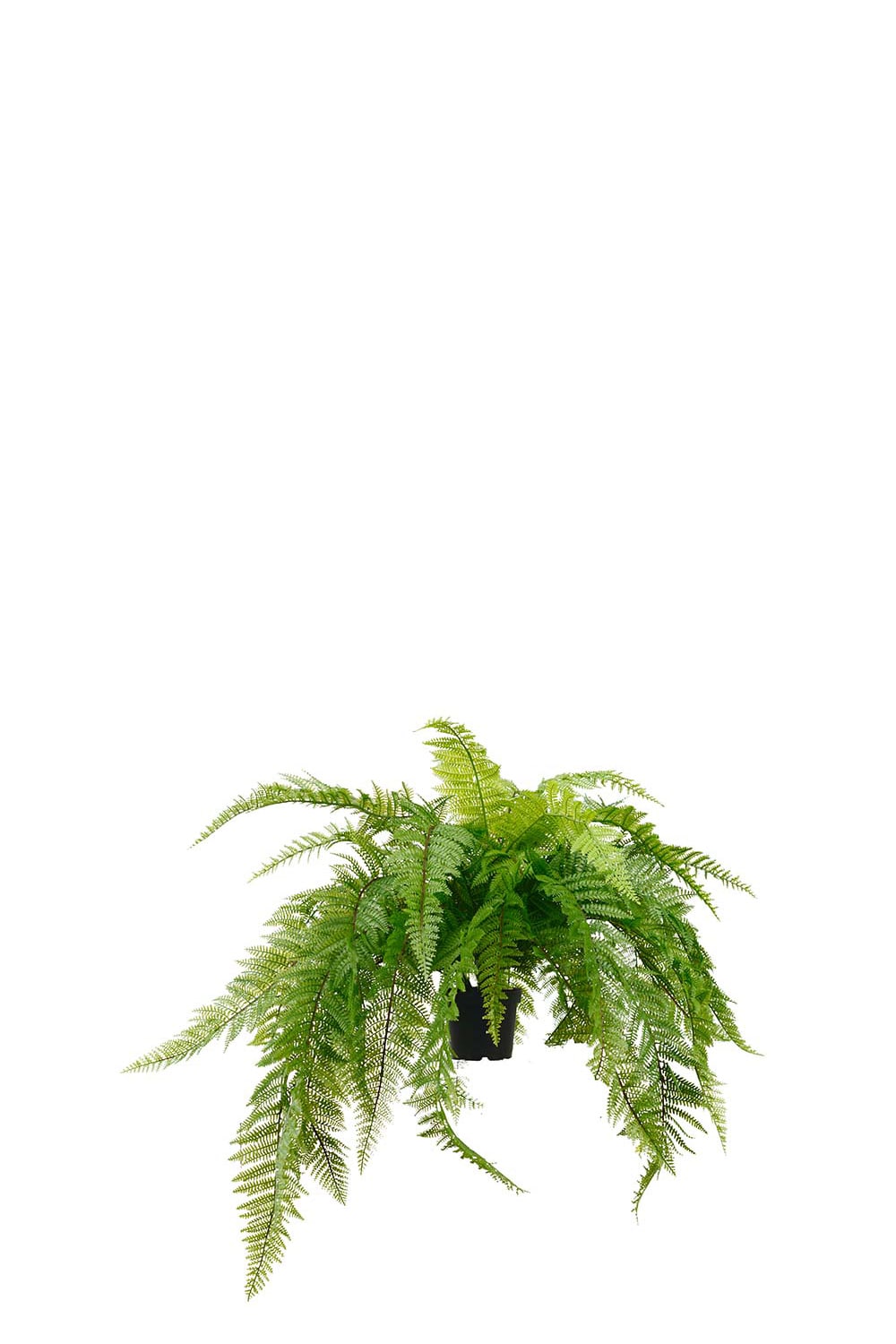 Konstgjord grön Ormbunke 45cm