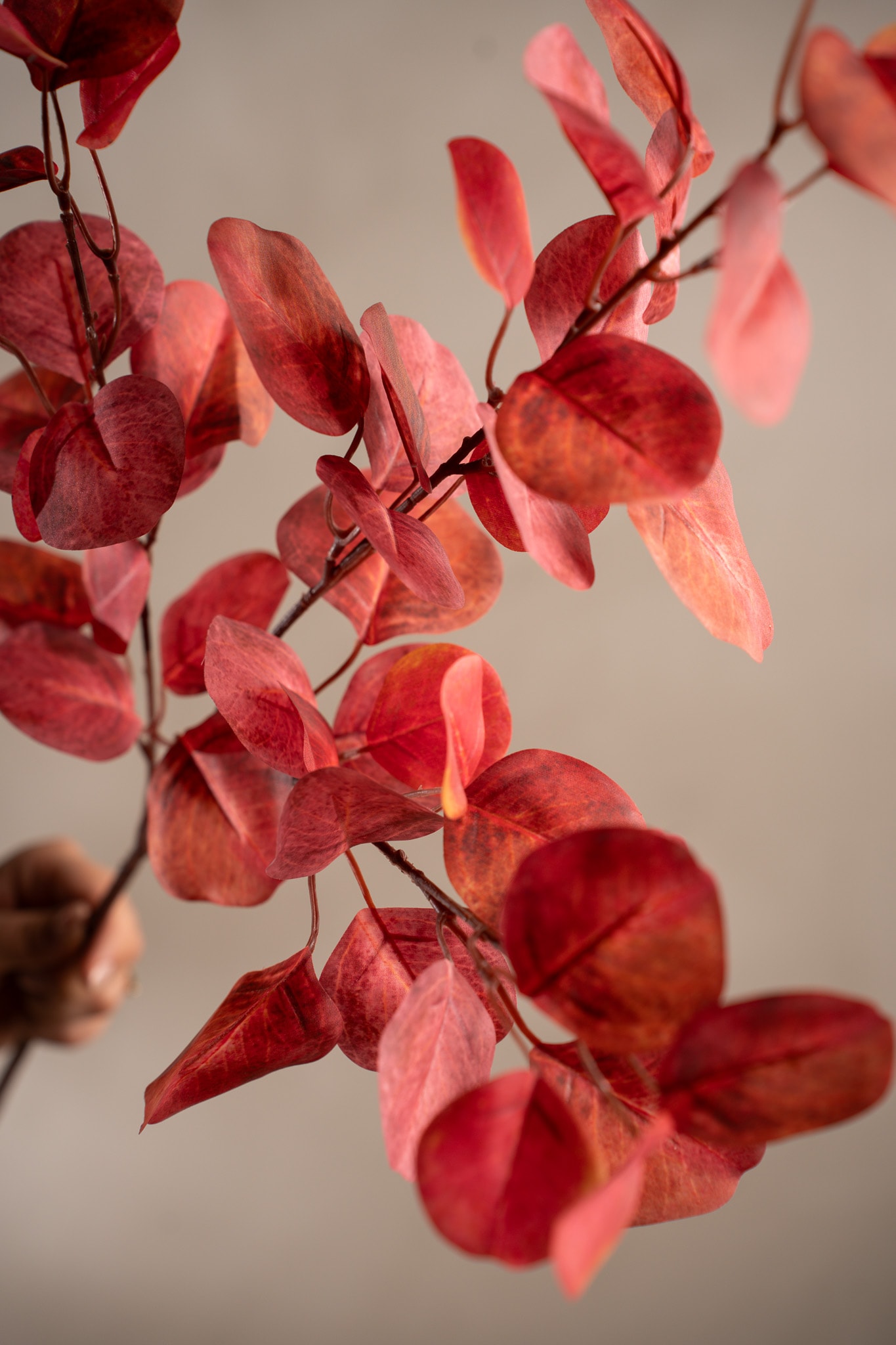 Konstgjord rosa Eucalyptus 95cm