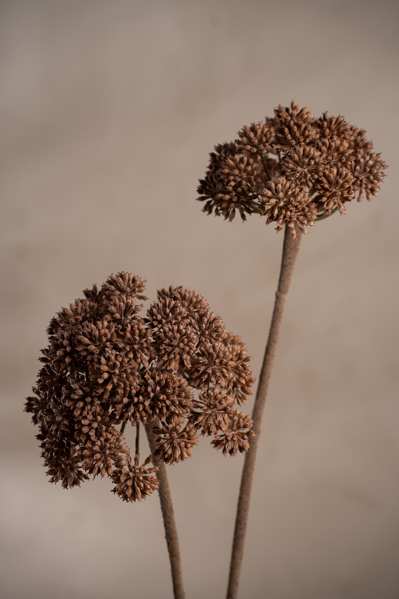 Konstgjord brun Angelica 115cm