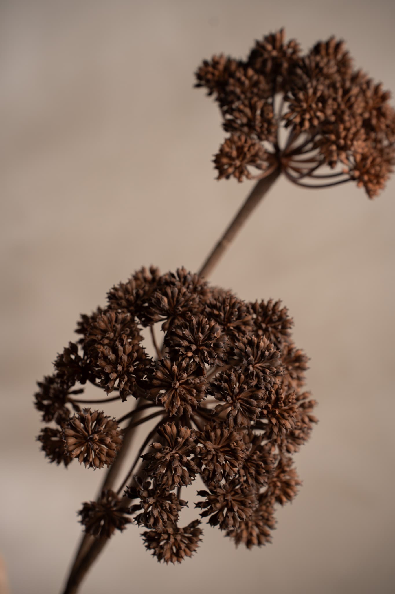 Konstgjord brun Angelica 115cm