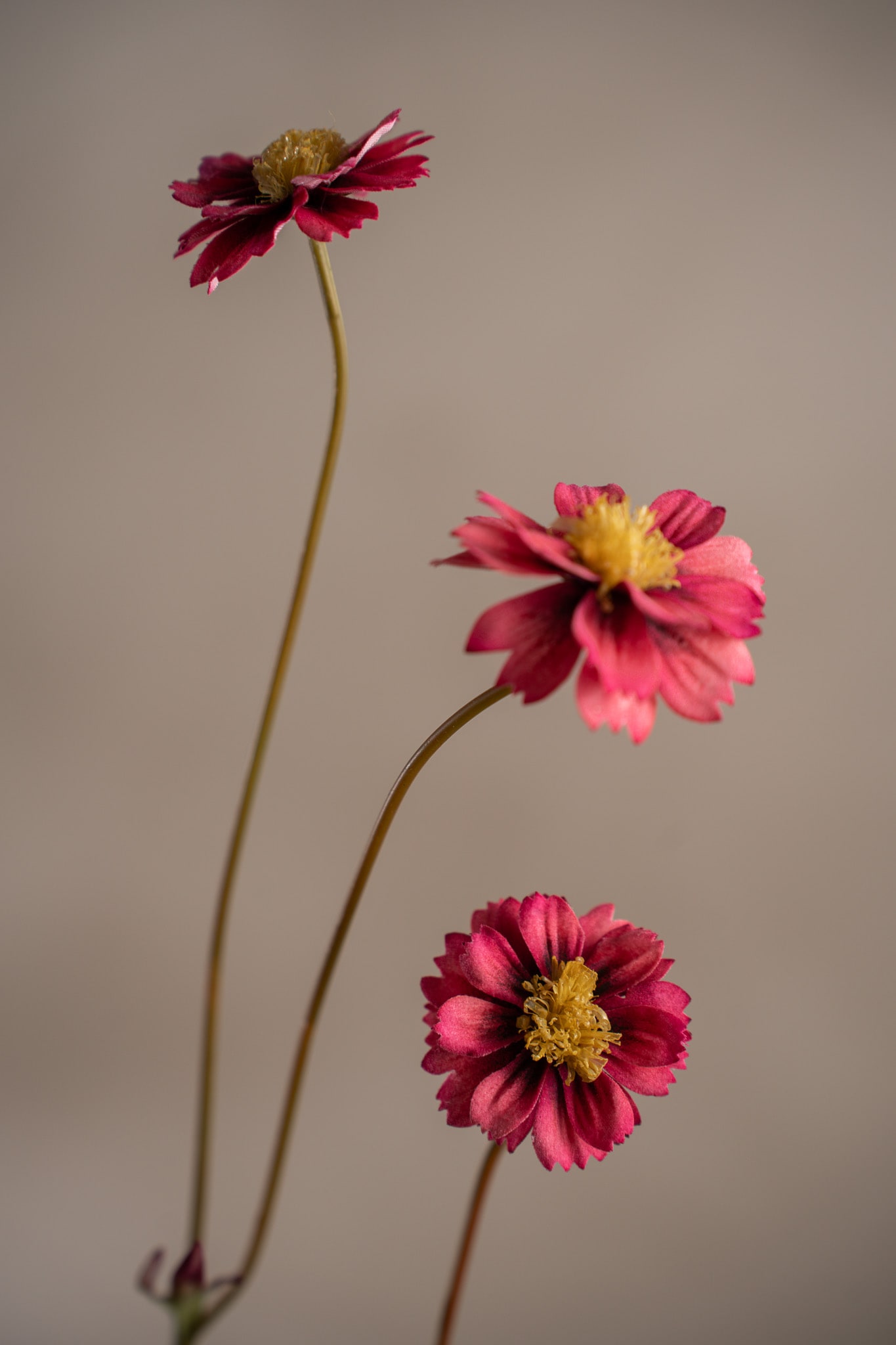 Konstgjord rosa Coreopsis 57cm
