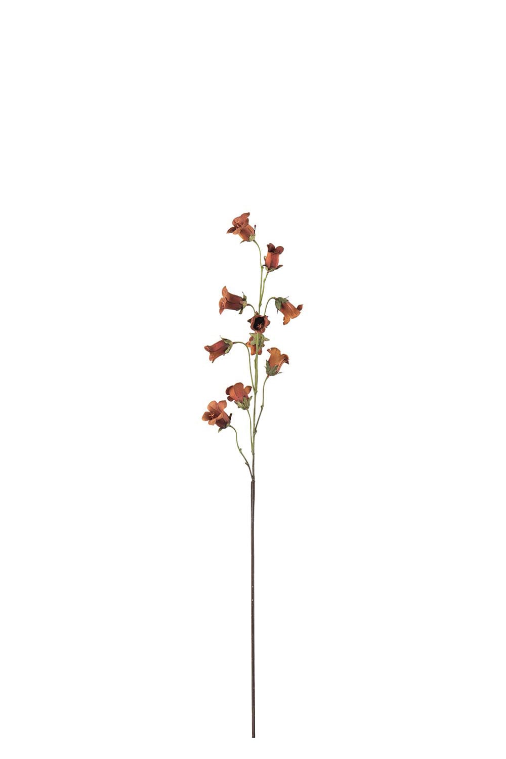 Konstgjord brun Blåklocka 85cm