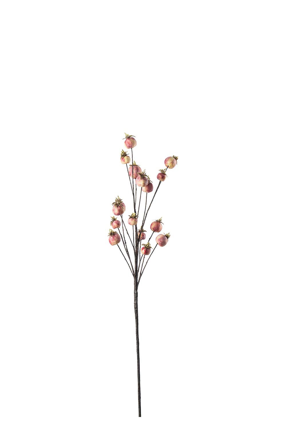 Konstgjord burgundy Vallmokapsel 75cm