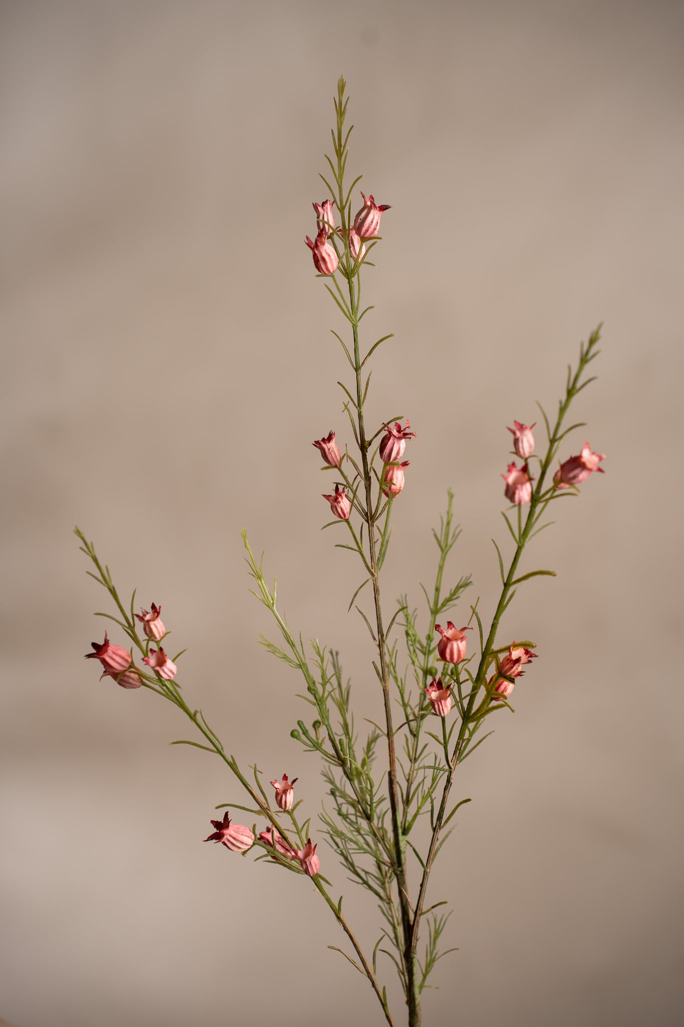 Konstgjord rosa Calluna 63cm