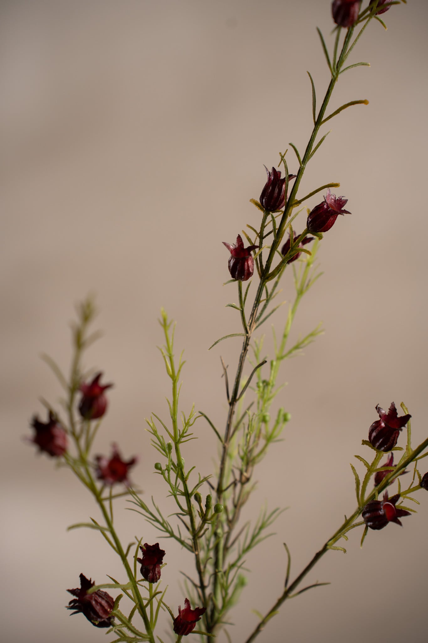 Konstgjord burgundy Calluna 63cm