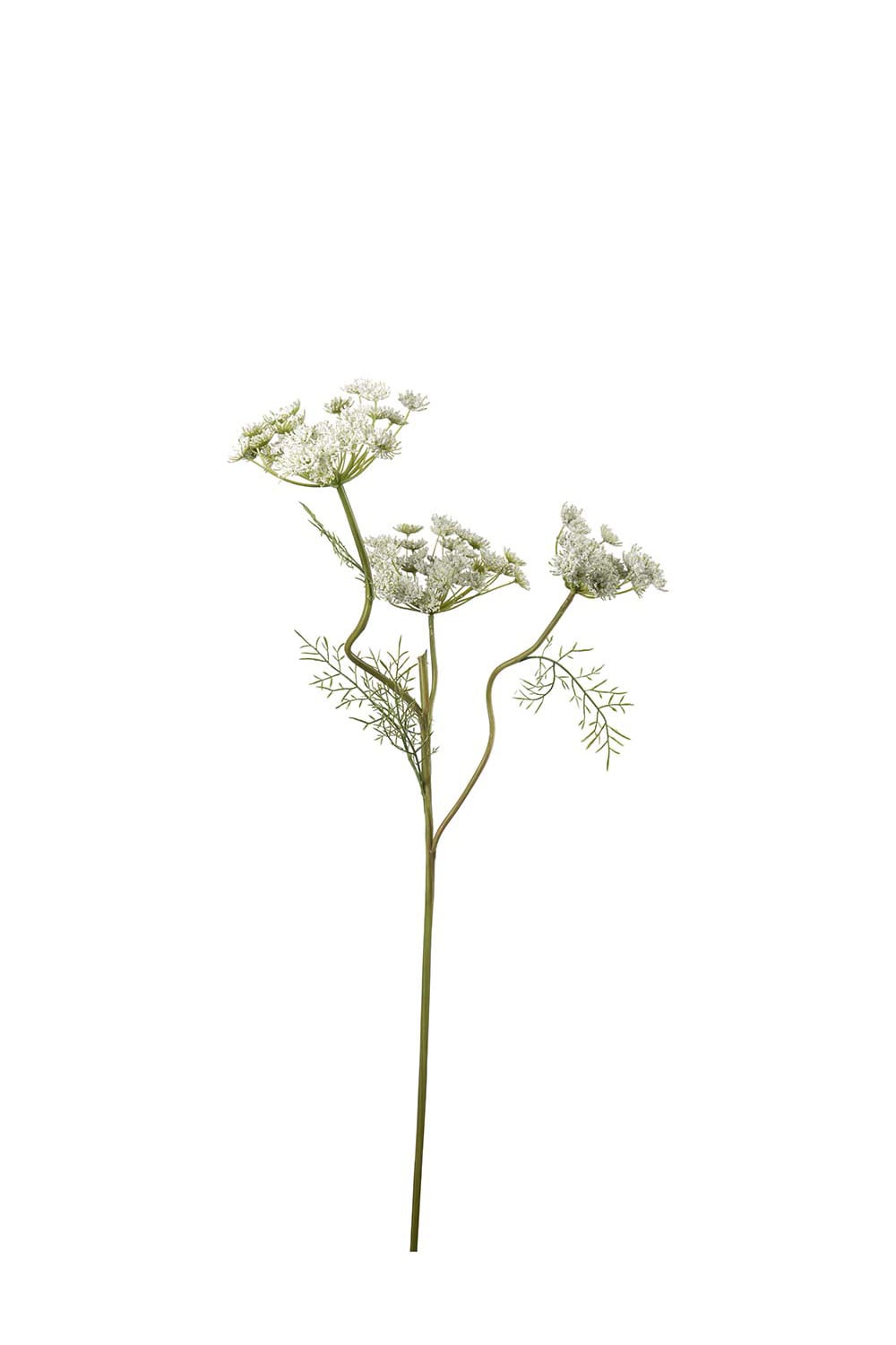 Konstgjord vit Vildmorot 80cm