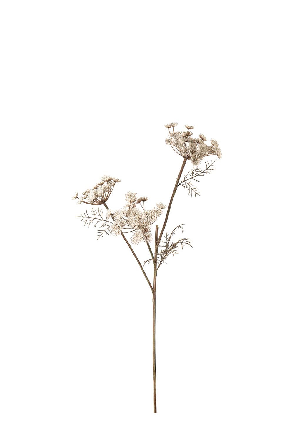 Konstgjord cremefärgad Vildmorot 80cm