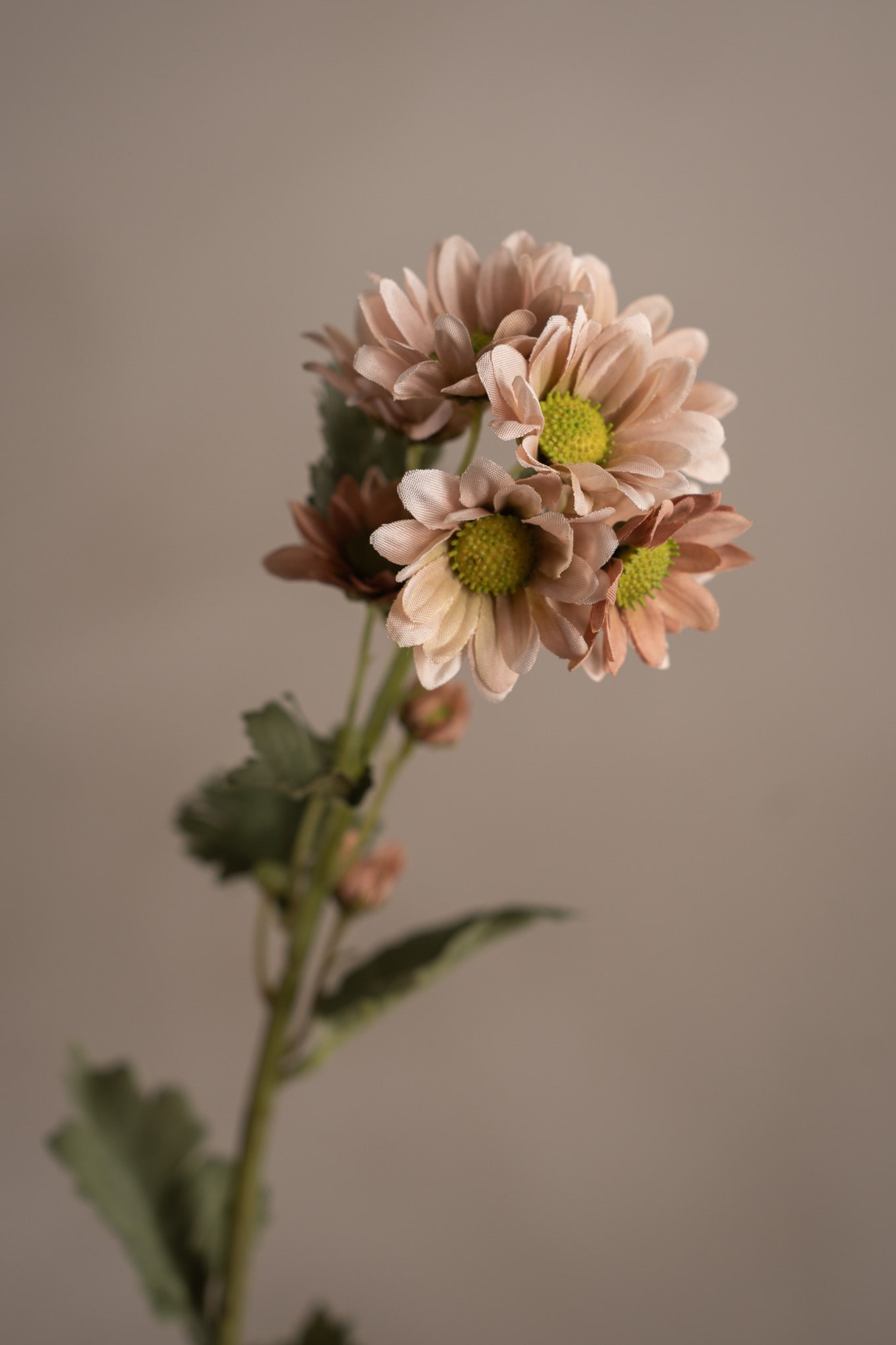 Konstgjord rosa Chrysanthemum 58cm