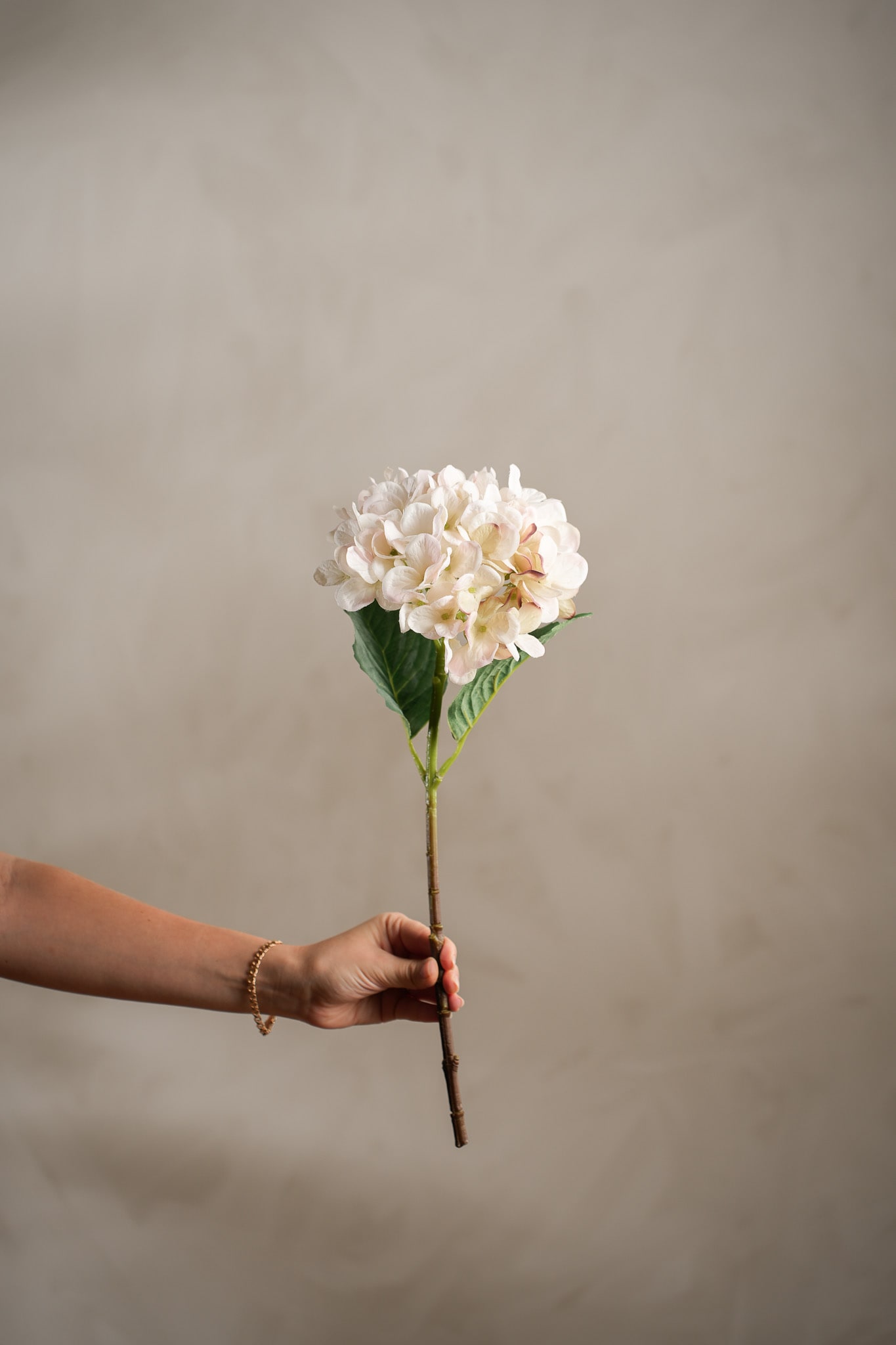 Konstgjord cremefärgad Hortensia 48cm