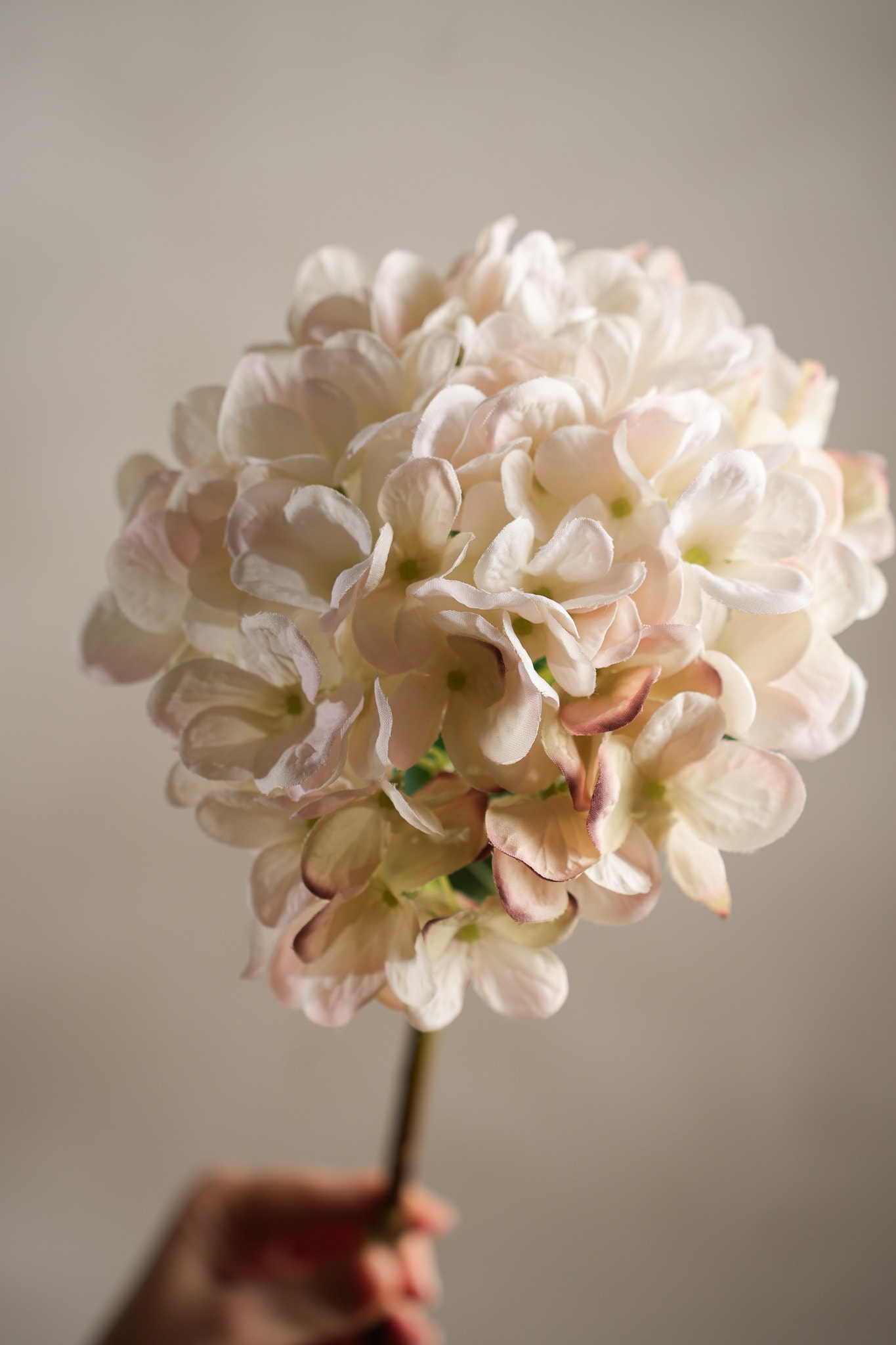 Konstgjord cremefärgad Hortensia 48cm