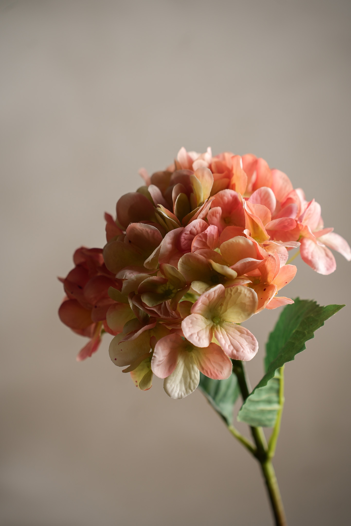 Konstgjord rosa Hortensia 48cm