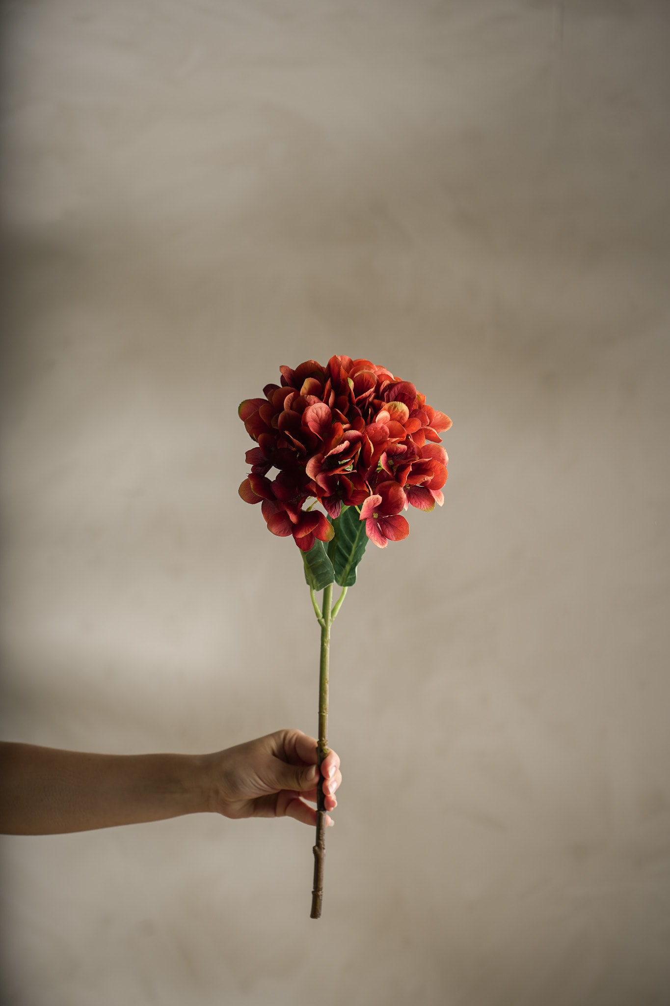 Konstgjord orange Hortensia 48cm