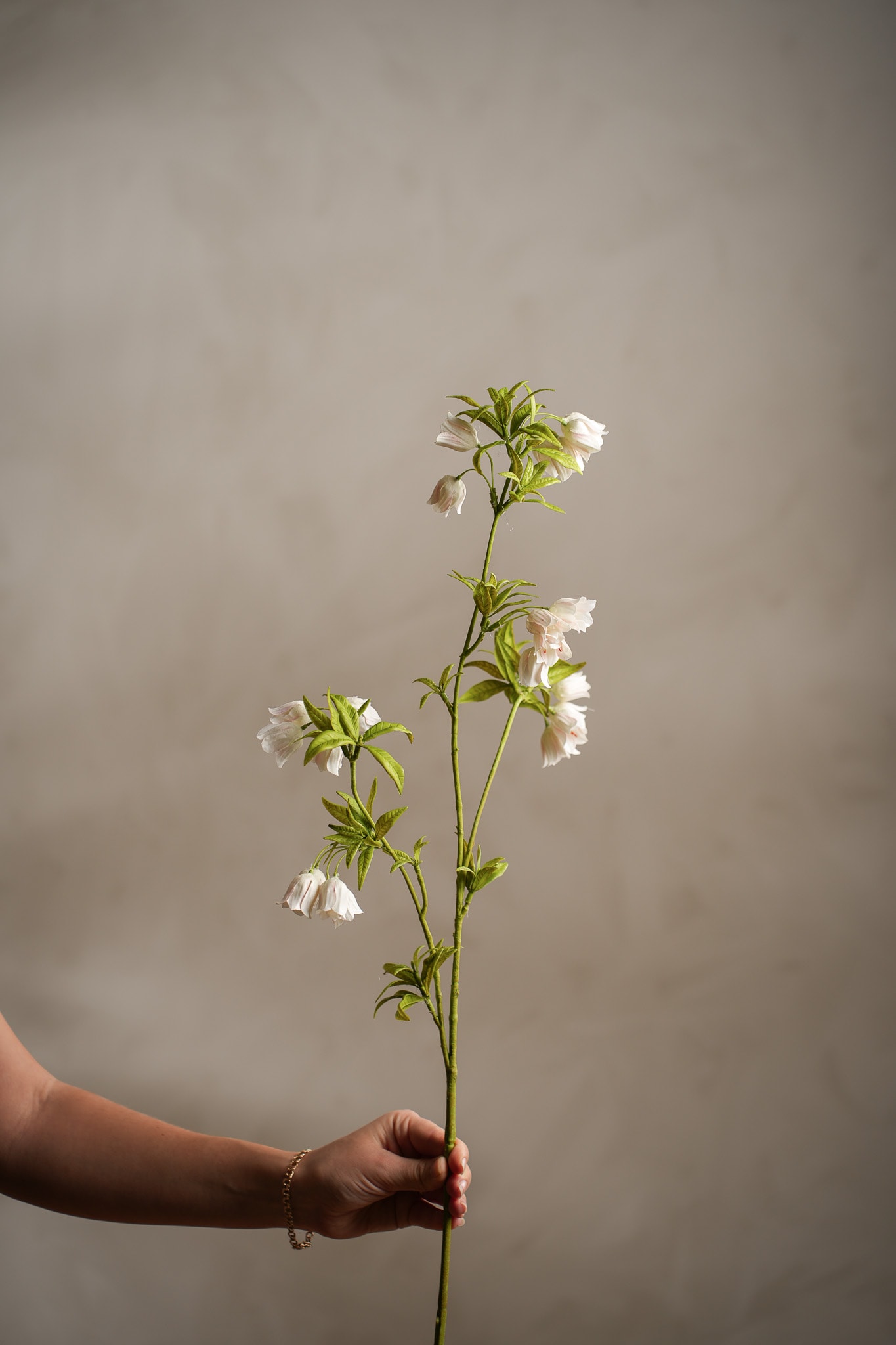 Konstgjord cremefärgad Enkianthus 80cm
