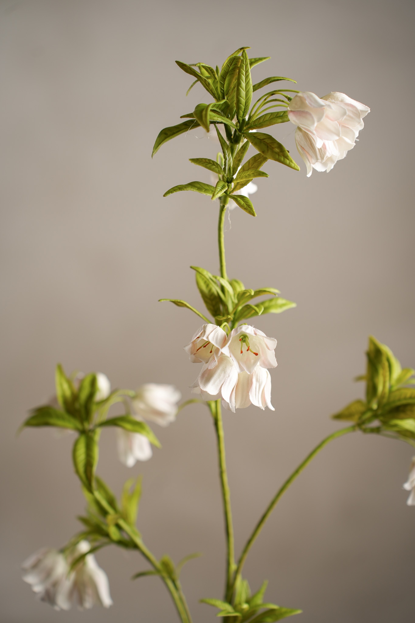 Konstgjord cremefärgad Enkianthus 80cm