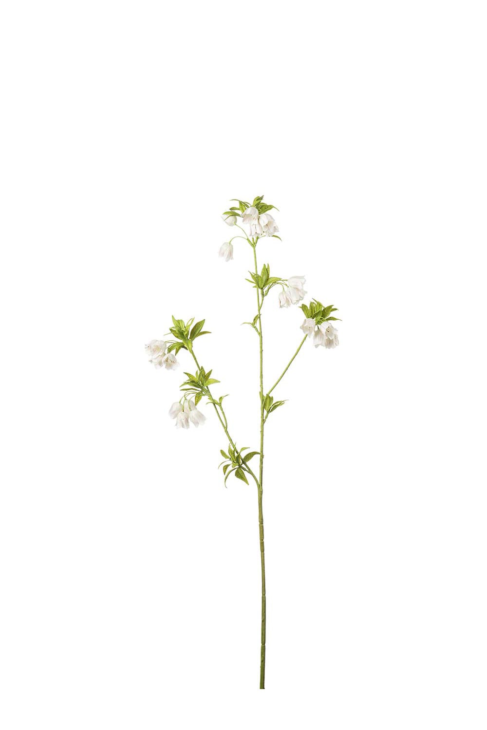 Konstgjord cremefärgad Enkianthus 80cm