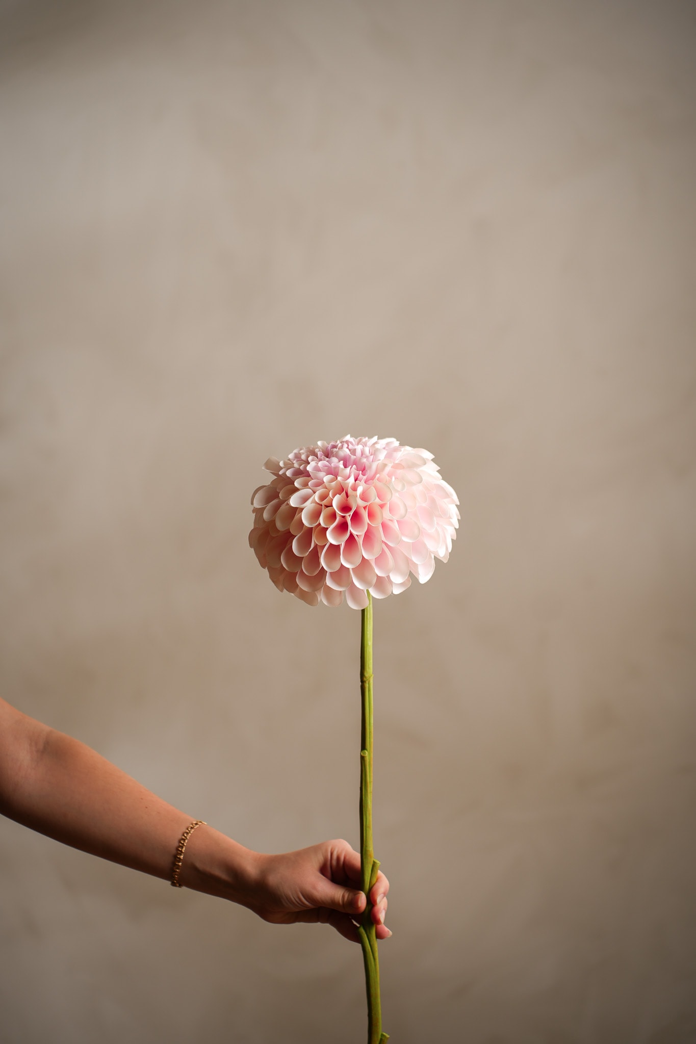 Konstgjord rosa Dahlia 75cm