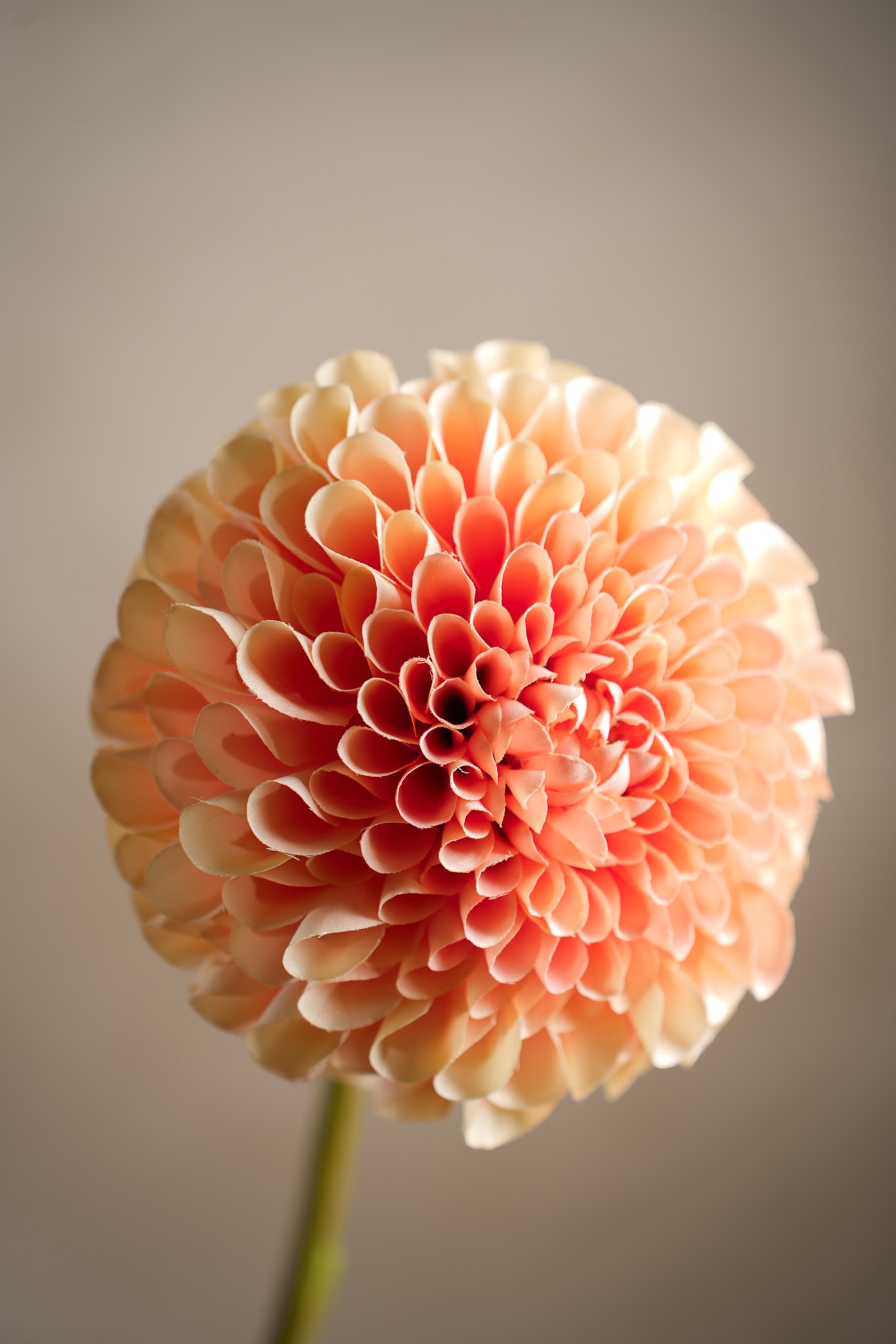 Konstgjord persikofärgad Dahlia 75cm