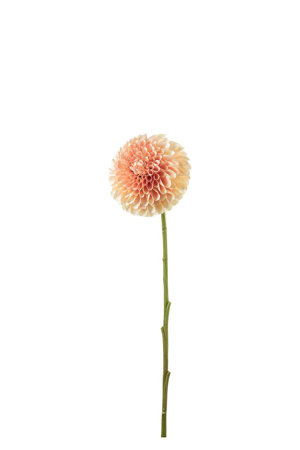 Konstgjord persikofärgad Dahlia 75cm