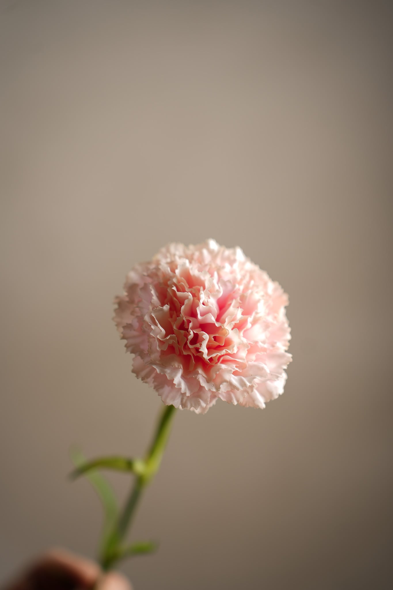 Konstgjord rosa Nejlika 44cm