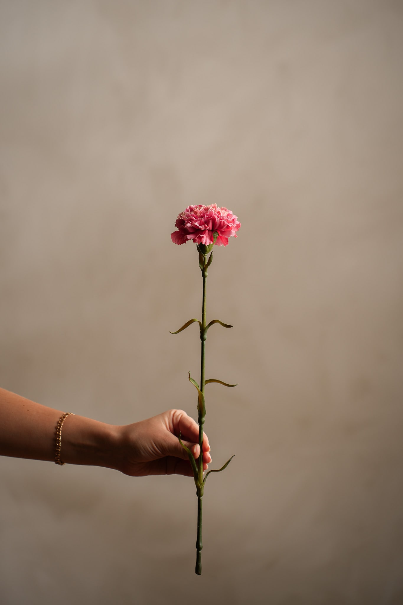 Konstgjord rosa Nejlika 44cm