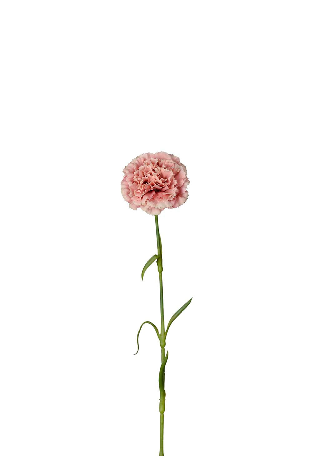 Konstgjord rosa Nejlika 44cm