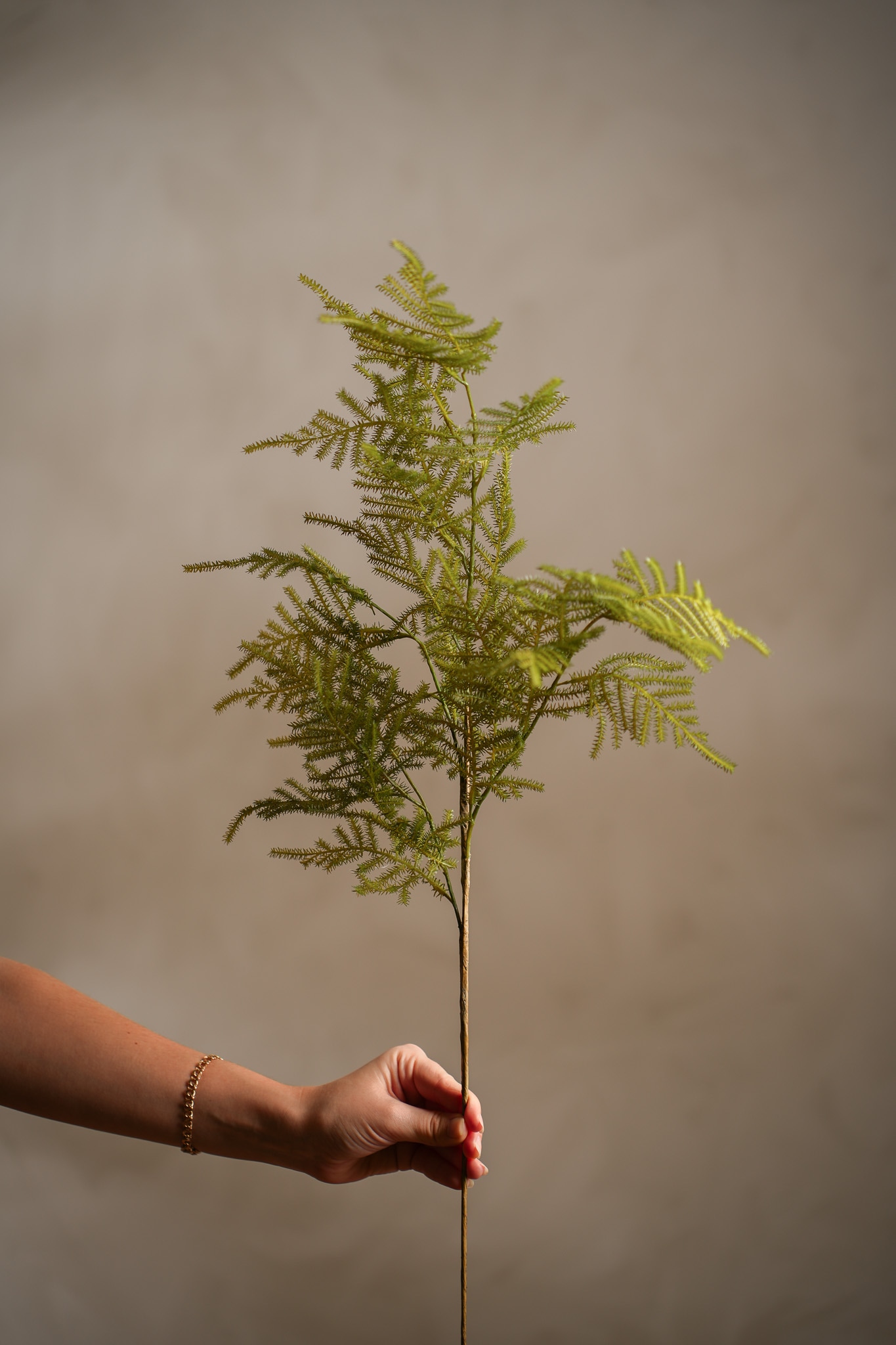 Konstgjord grön Asparagus 70cm