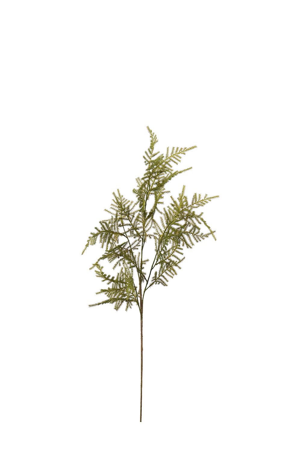 Konstgjord grön Asparagus 70cm