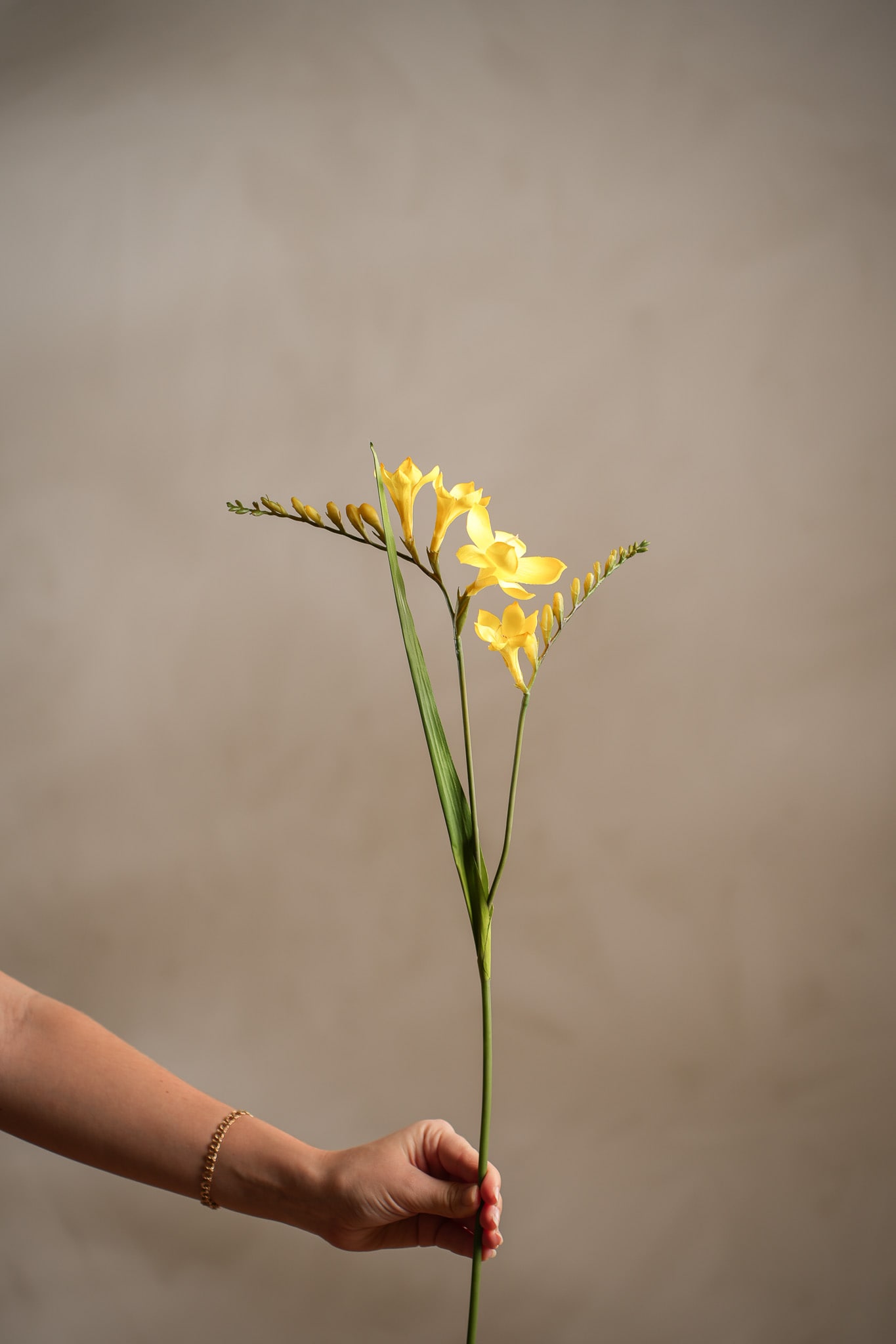 Konstgjord gul Freesia 60cm