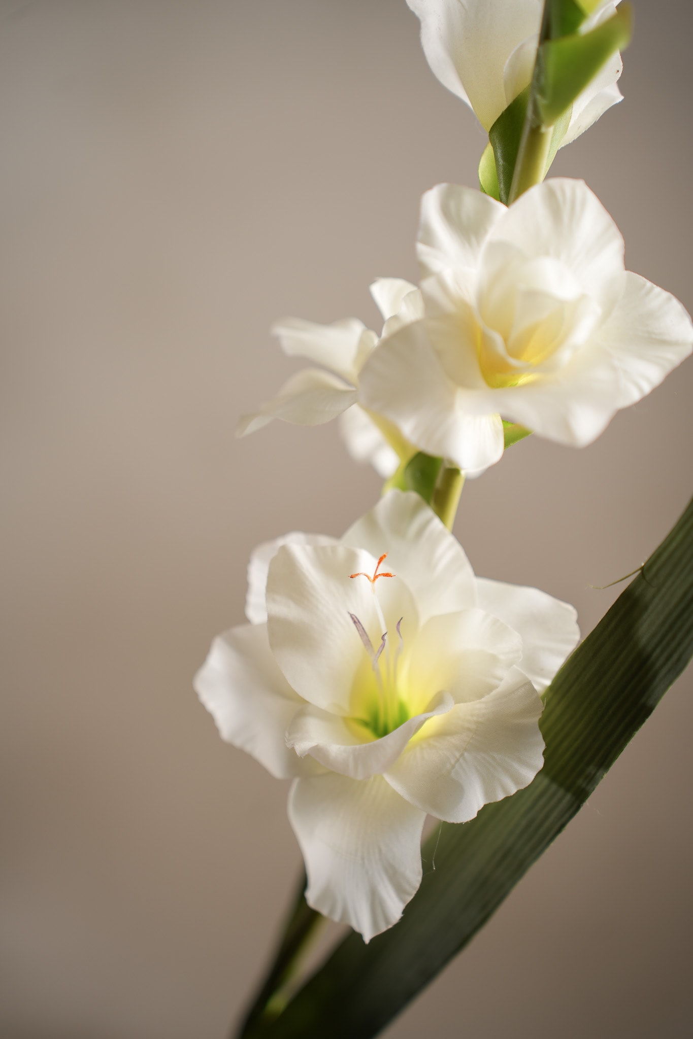 Konstgjord vit Gladiolus 90cm