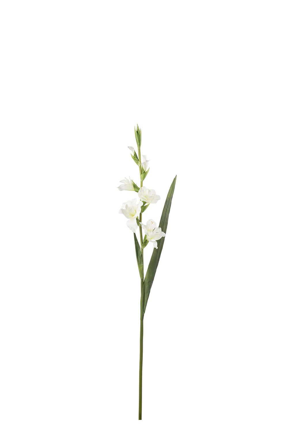 Konstgjord vit Gladiolus 90cm