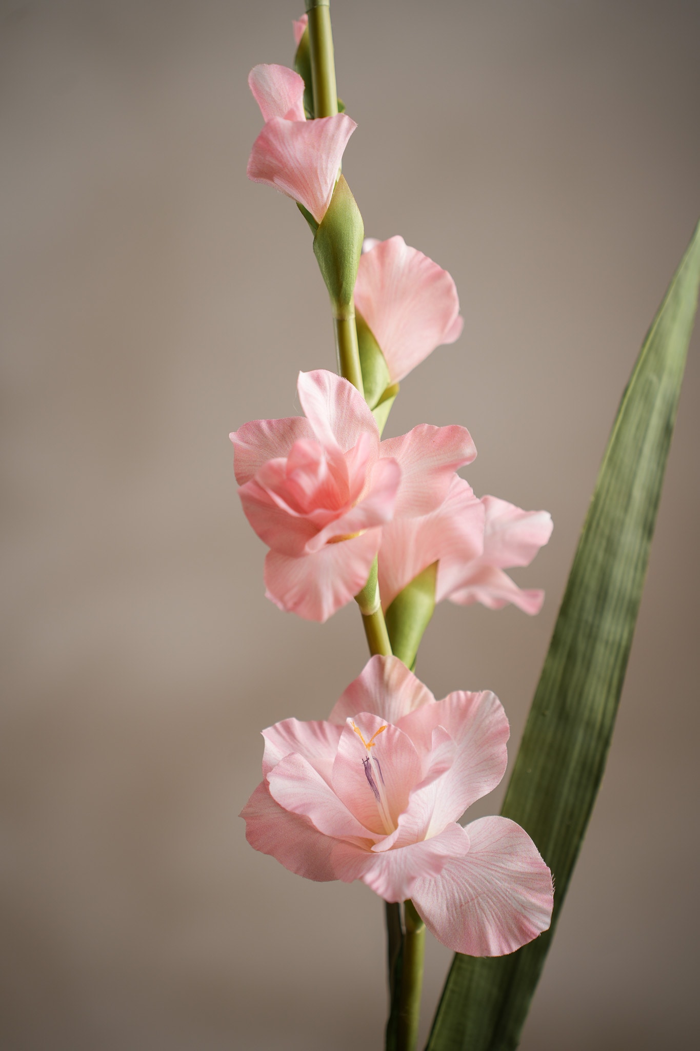 Konstgjord rosa Gladiolus 90cm