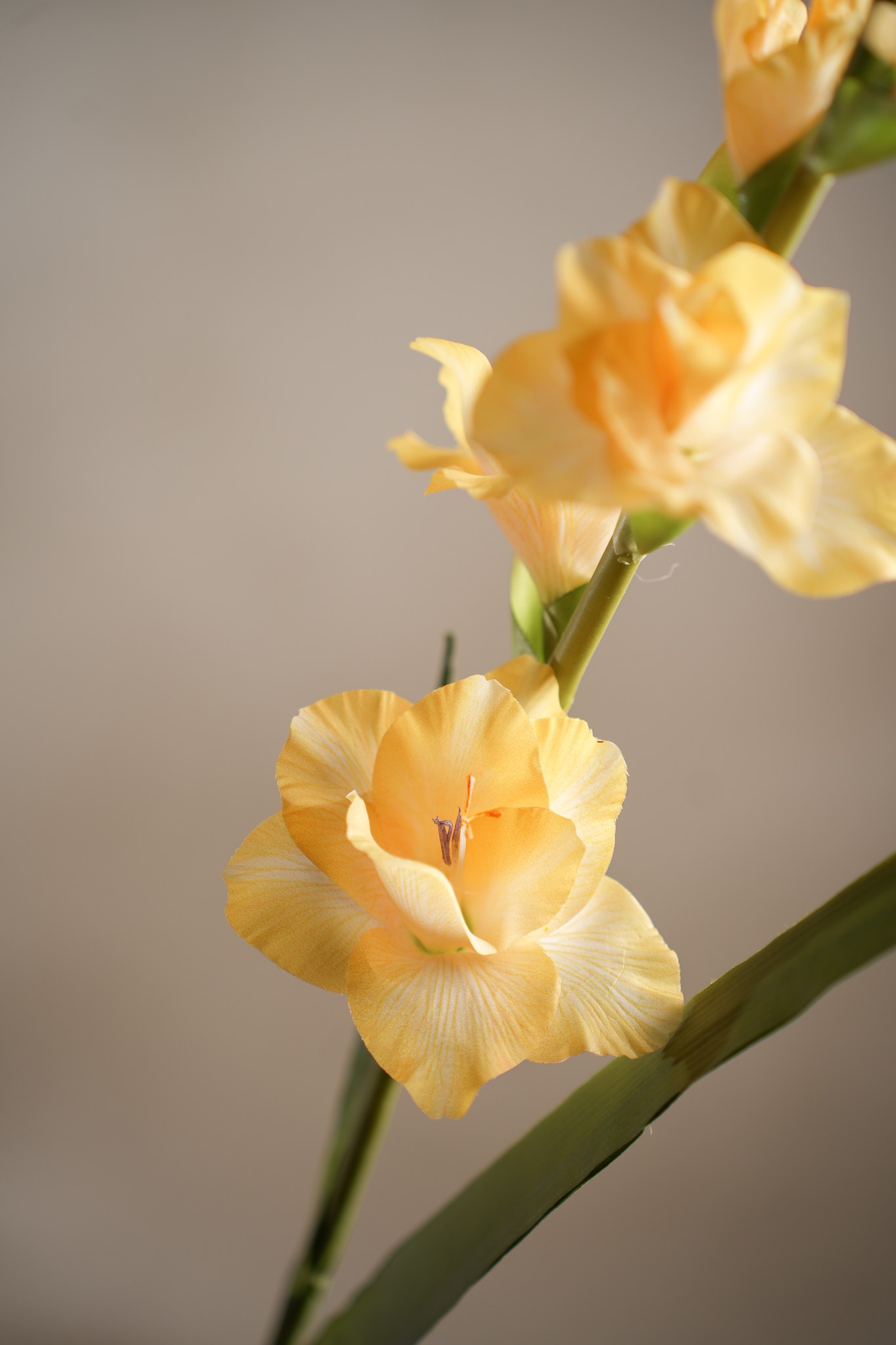 Konstgjord gul Gladiolus 90cm