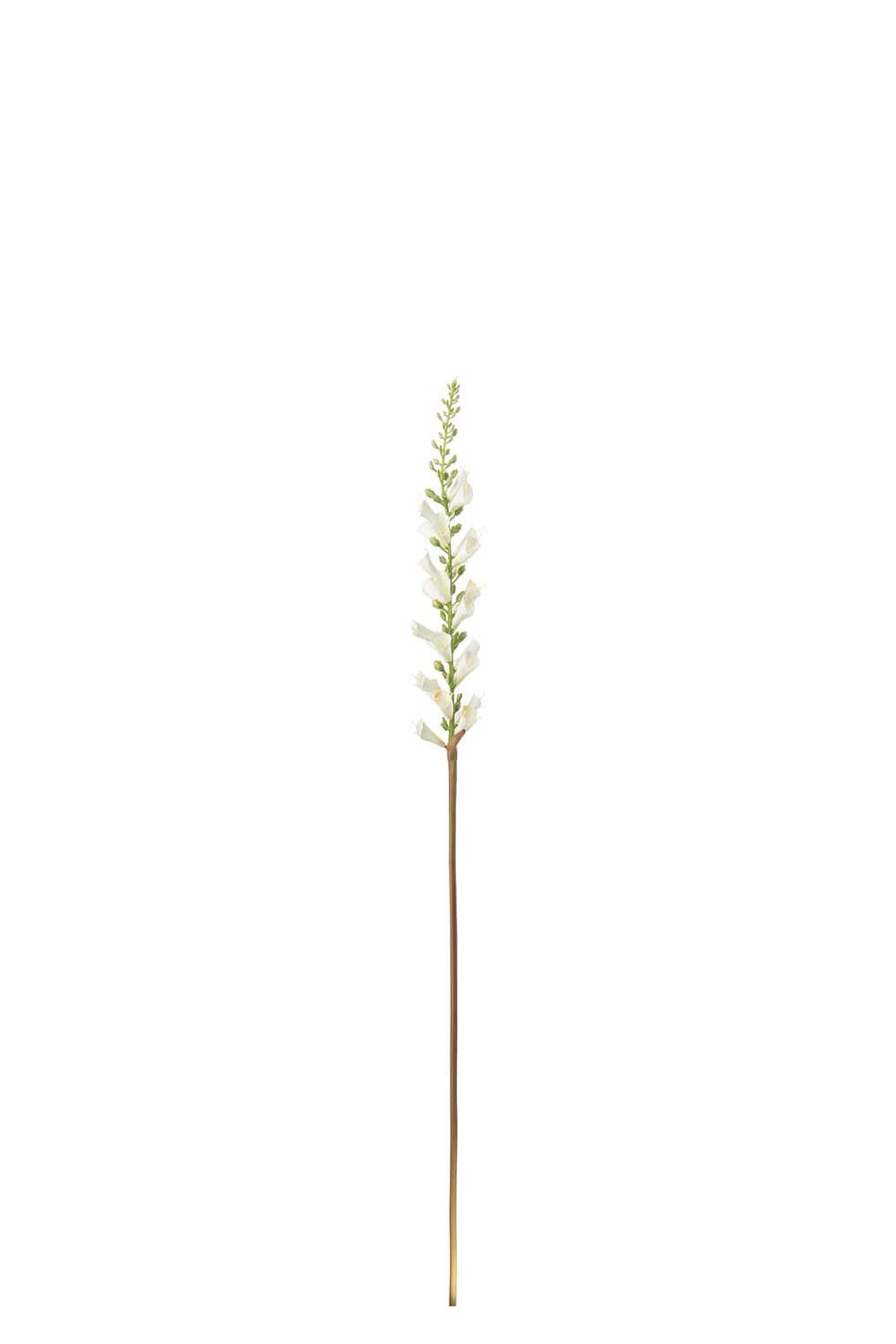 Konstgjord cremefärgad Digitalis 60cm