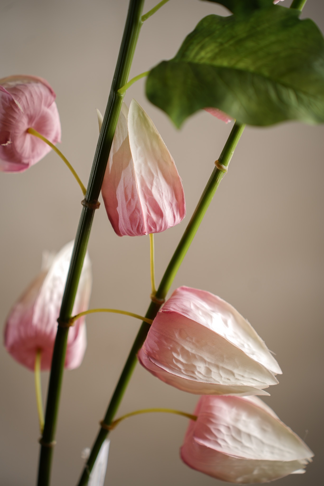 Konstgjord rosa Physalis 120cm