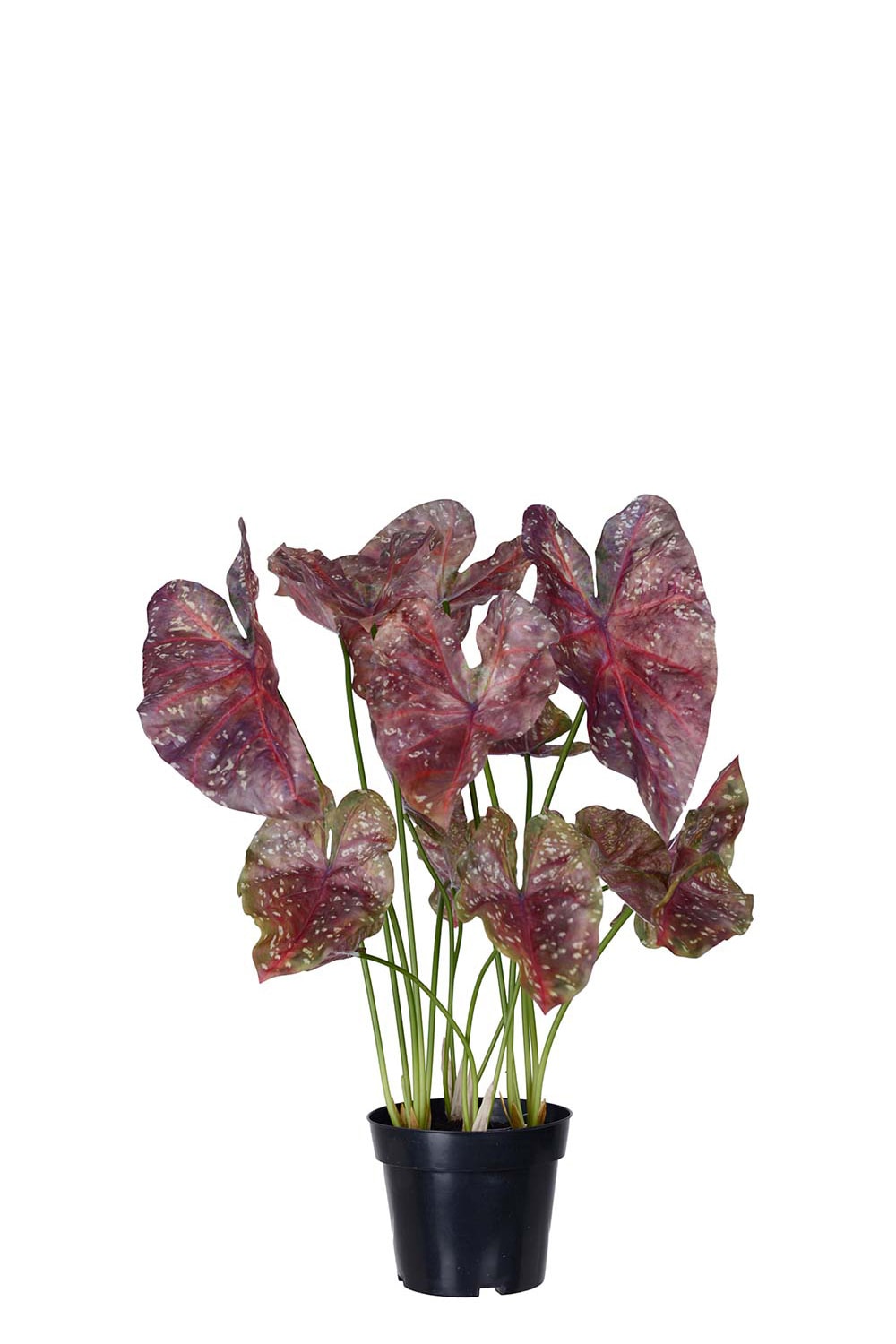 Konstgjord burgundy Caladium 75cm