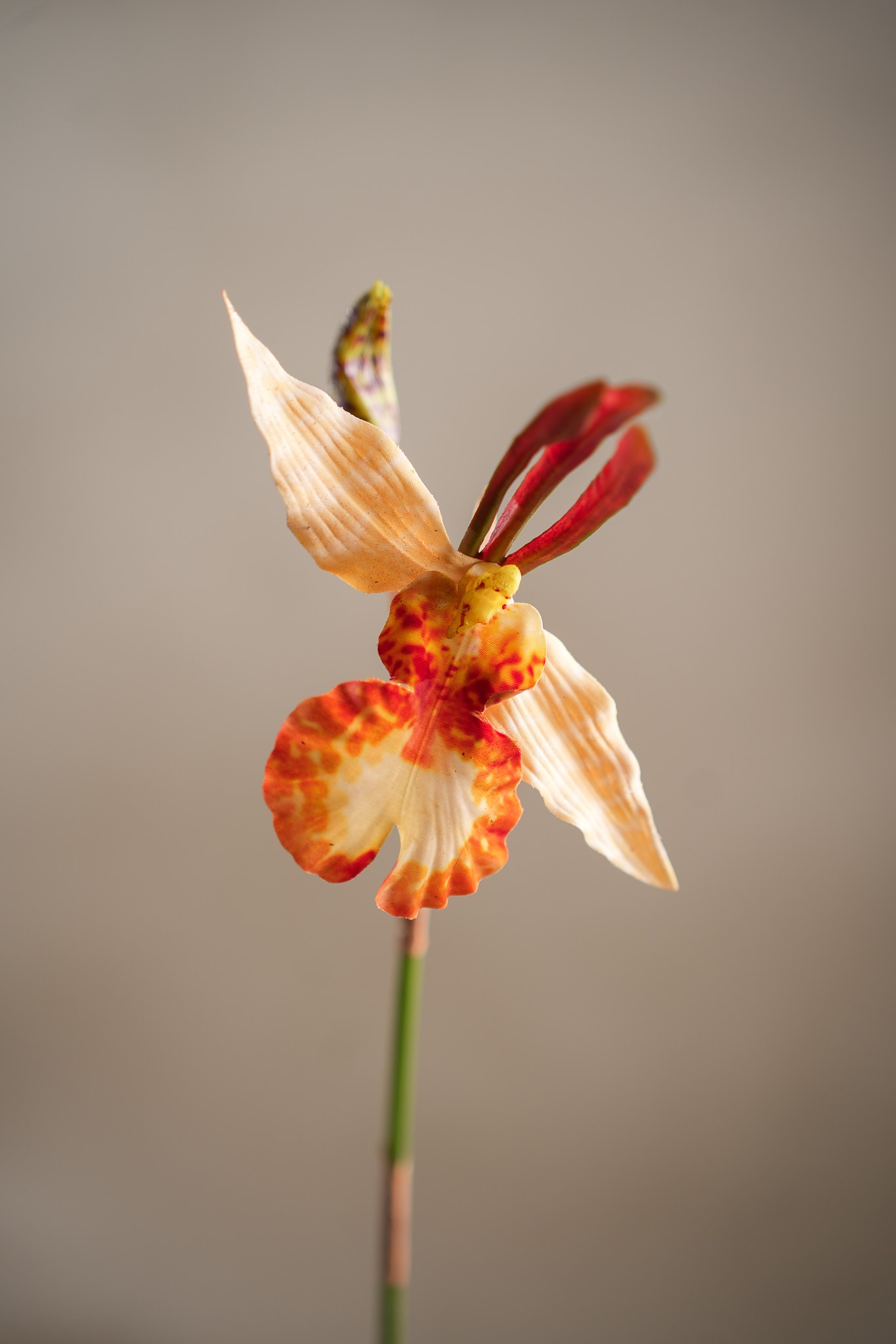 Konstgjord orange Psychopsis 80cm