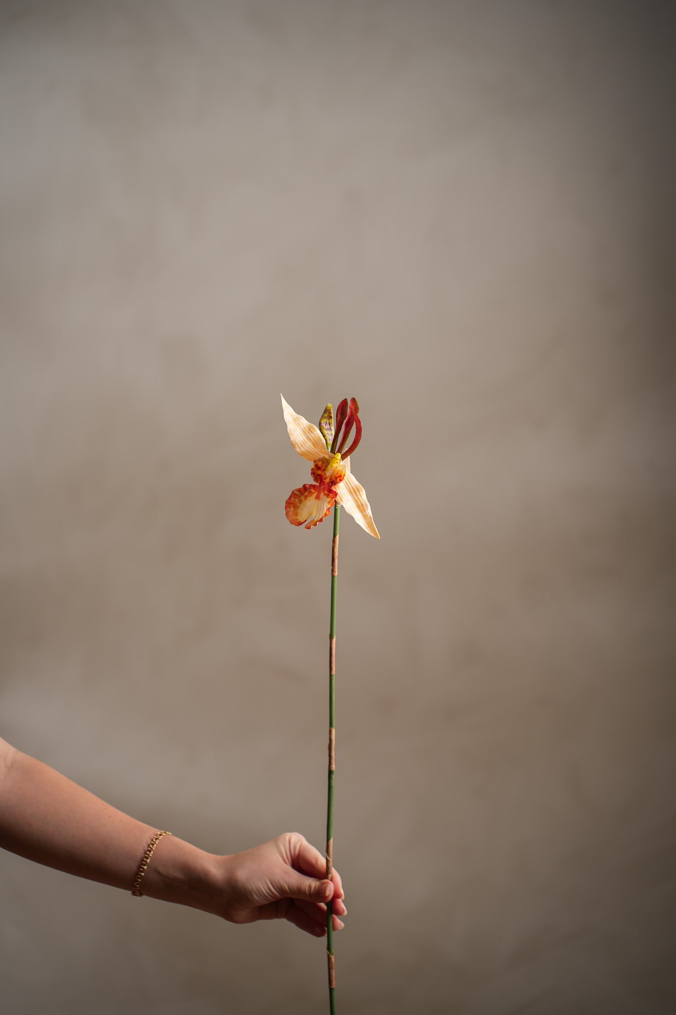 Konstgjord orange Psychopsis 80cm