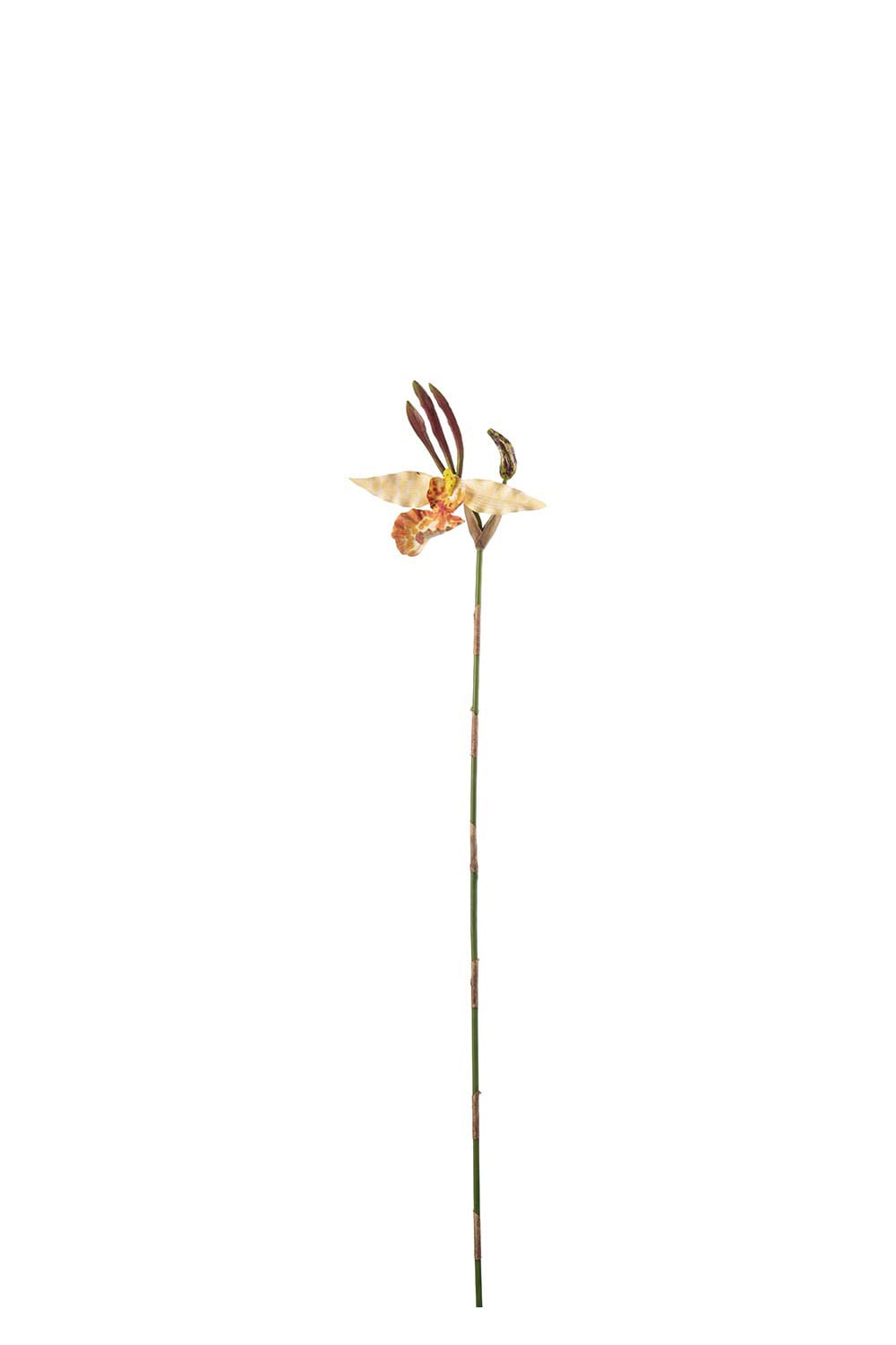 Konstgjord orange Psychopsis 80cm