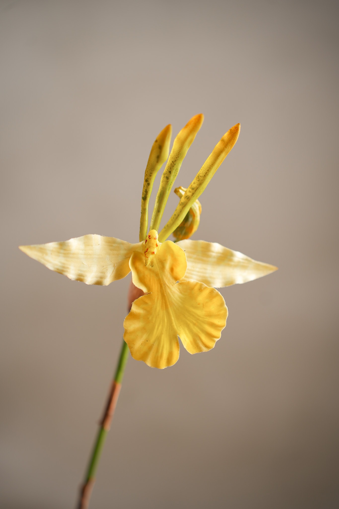 Konstgjord gul Psychopsis 80cm