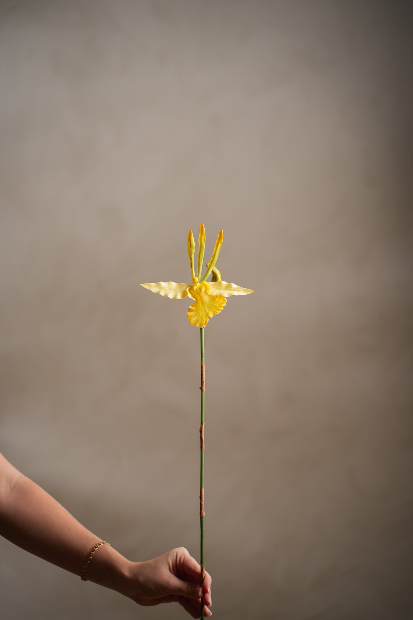 Konstgjord gul Psychopsis 80cm